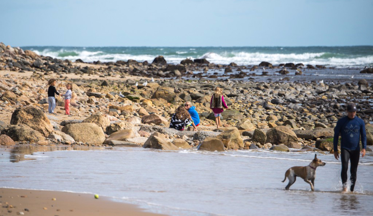 Photo: Andreea Waters