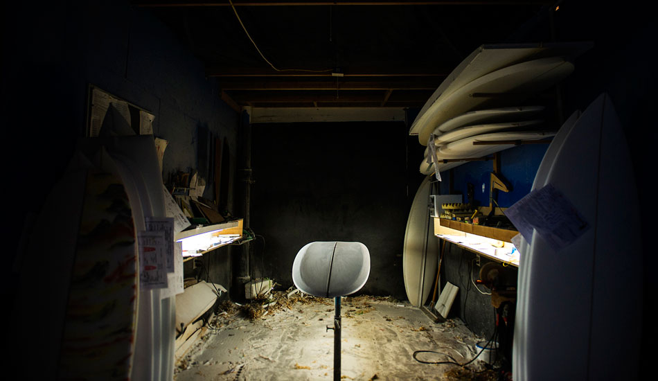 It\'s always magic seeing one of these things being born. Photo: <a href=\"https://www.dylangordon.com/\" target=_blank>Dylan Gordon</a>