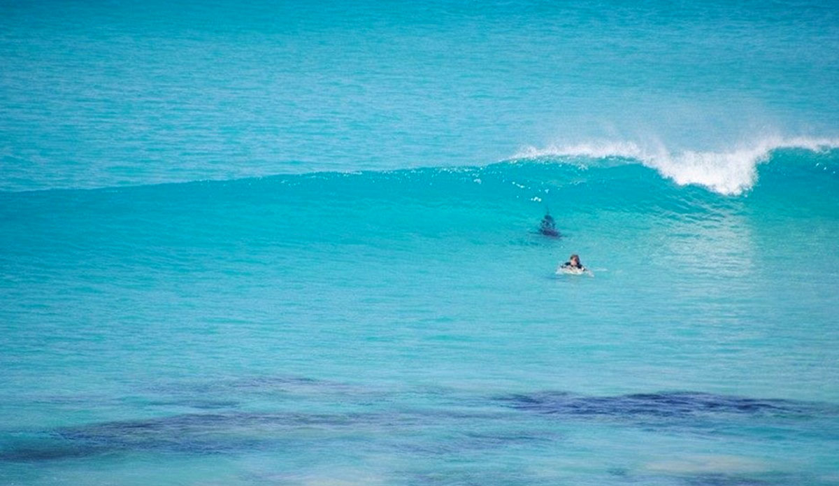 Photo: Frits De Bruyn