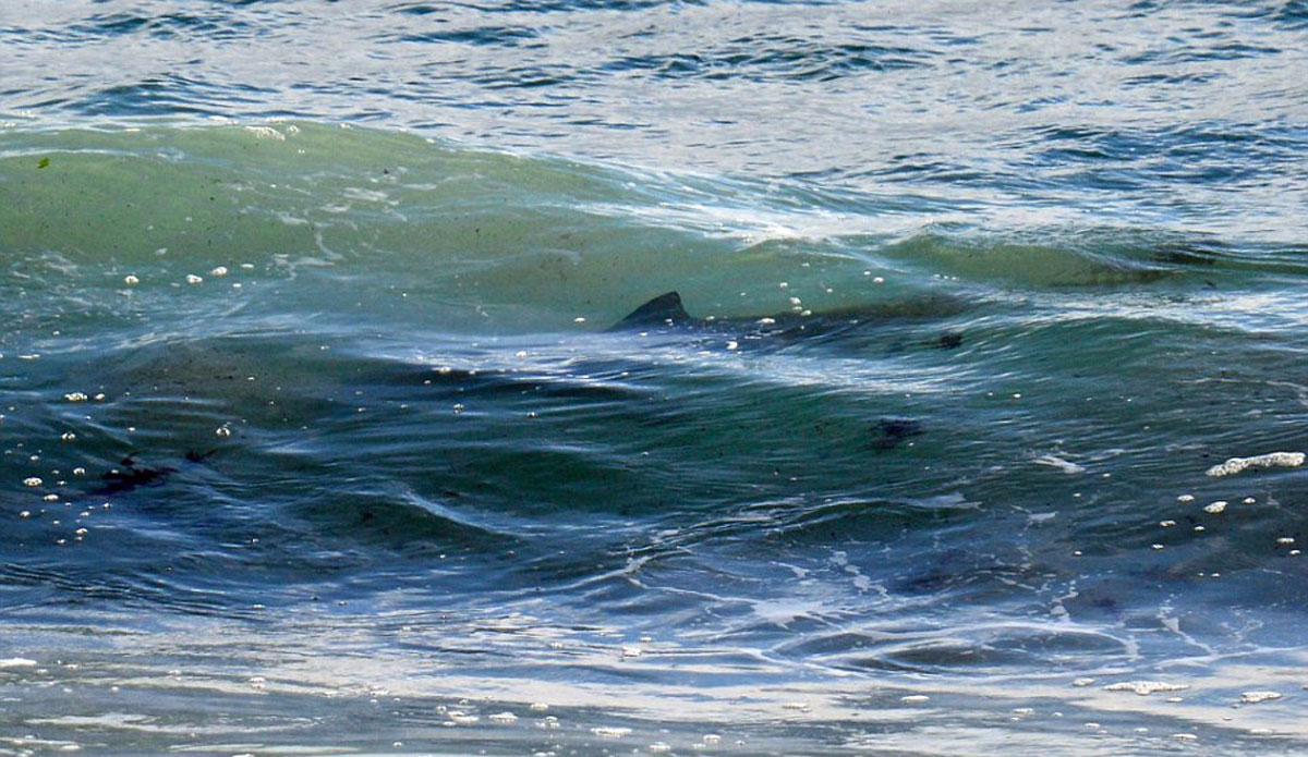 Photo: Rick Knoppert