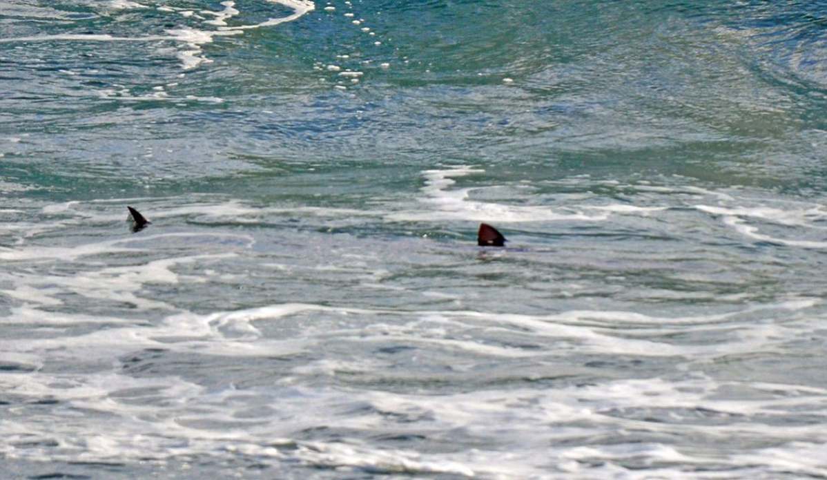 Photo: Rick Knoppert