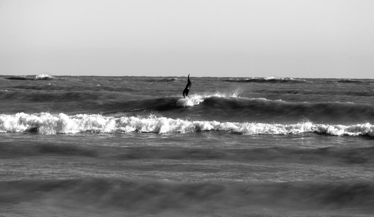 Killion on his perch. Photo: <a href=\"https://www.instagram.com/whaddascoops/\">Ryan Bigelow </a>