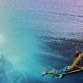 Surfers tend to ingest ten times more water than swimmers or divers making our exposure to pathogens in the ocean much higher than other groups.