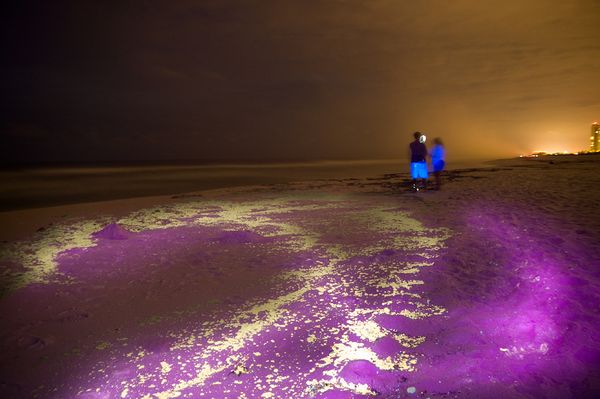Ultraviolet light reveals oil still on Gulf Coast beaches. Photo: Chris Combs/National Geographic