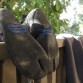 Booties and wetsuit