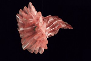 Vortexas