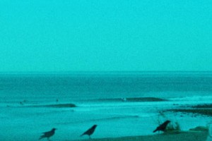 Empty Lineup Surf Topanga Point