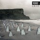 1000 Surfboard Graveyard