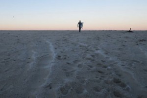 shutterbug surfing pictures