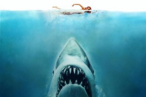 shark stories