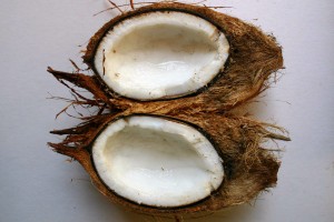 The magic of the coconut. Photo: Wikipedia