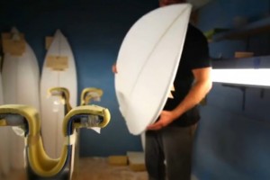 the importance of shape