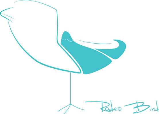 Meet Rodeo Bird. Image: Colin Hansel