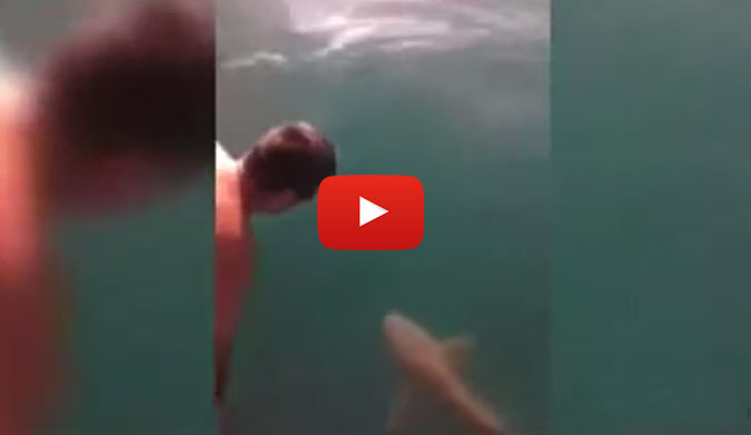 Crazy man jumps on tiger shark.