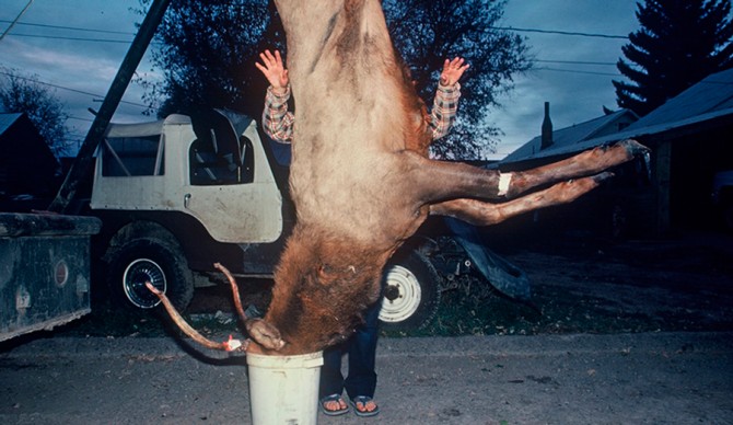 Hanging Elk in a Bucket, from Balog’s first book of photography, Wildlife Requiem, published in 1984.