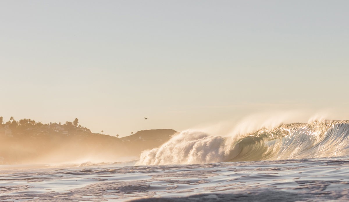 NOAA Declares El Niño Underway, Forecasts Strong Event with Mixed Regional Impacts