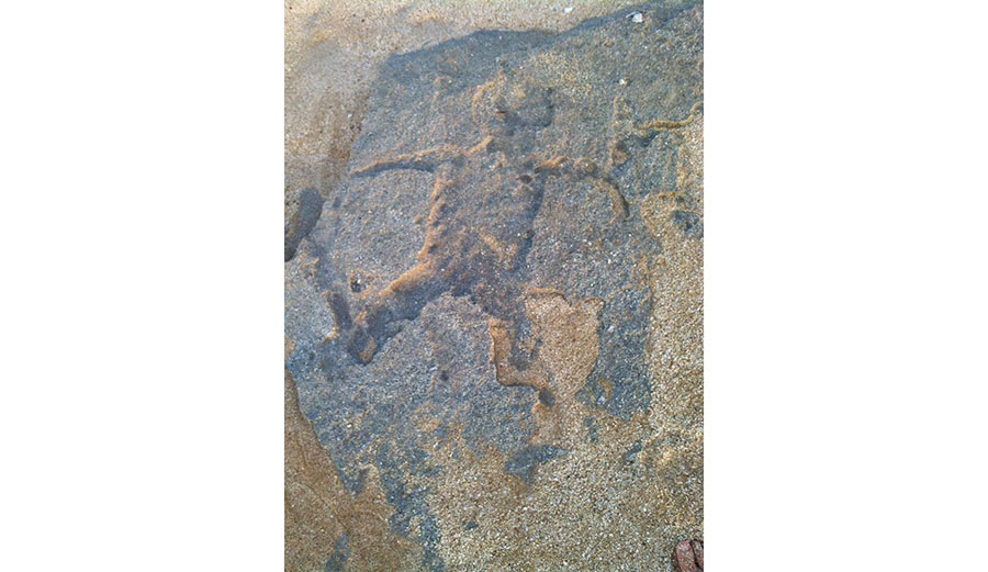 The ancient petroglyphs were covered back up with sand less than 24 hours later. Image: Avi Salvio/Facebook