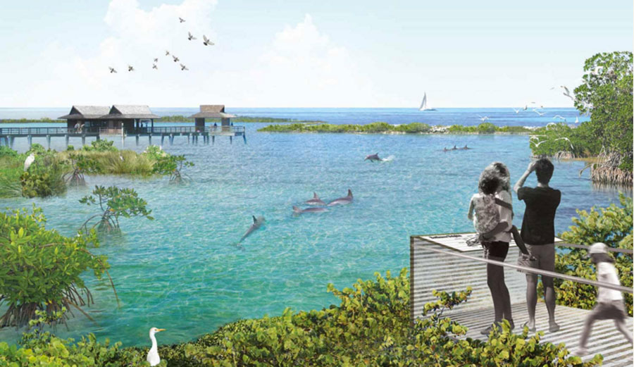An artist's rendition of the sea sanctuary, slated to be completed by 2020. Image: National Aquarium