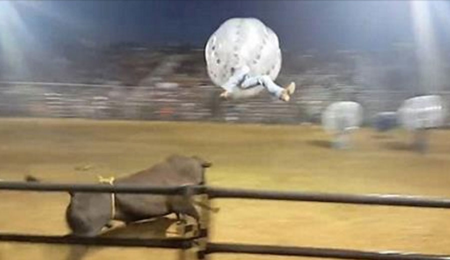 Rodeo Clowns in Zorb Balls vs. Enraged Bull is Insanely Hysterical