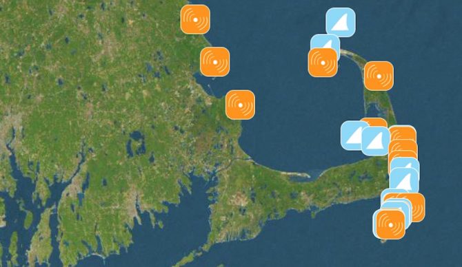 Sharktivity is an app that helps users track shark sightings in Cape Cod. Photo: Sharktivity