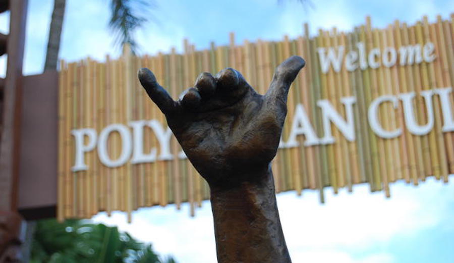 Is the World Famous Shaka A Form of Cultural Appropriation? The Inertia