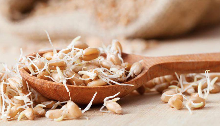 The Grainless Revolution is on but here are 3 Reasons to Eat Sprouted
