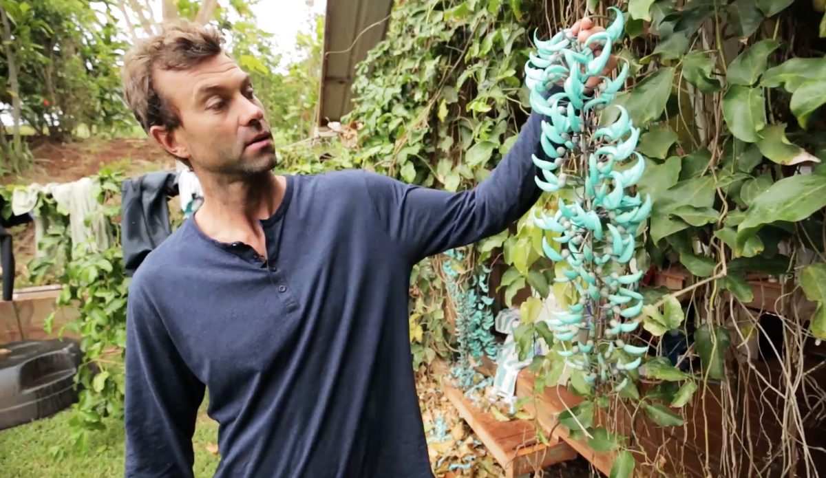 Big Wave Charger Kohl Christensen Fractures Skull During Big Pipeline