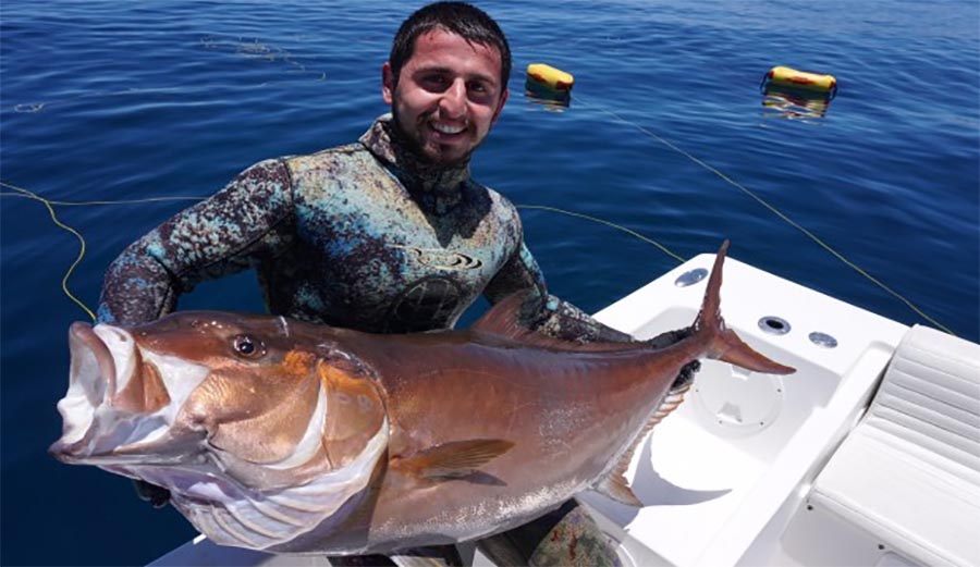 Spear Fisherman Attacked by Great White Near California's Pebble Beach