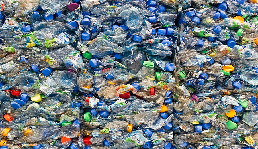 How Plastics Made From Plants Could be the Answer to the World's Waste