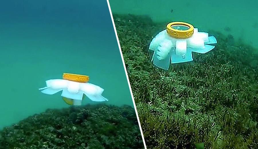 Scientists Just Built 'Robot Jellyfish' to Explore and Observe the