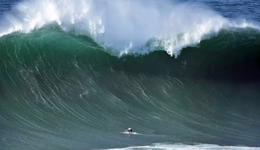 Professor Nathan Florence and a Super Useful Tutorial on Duck Diving vs ...