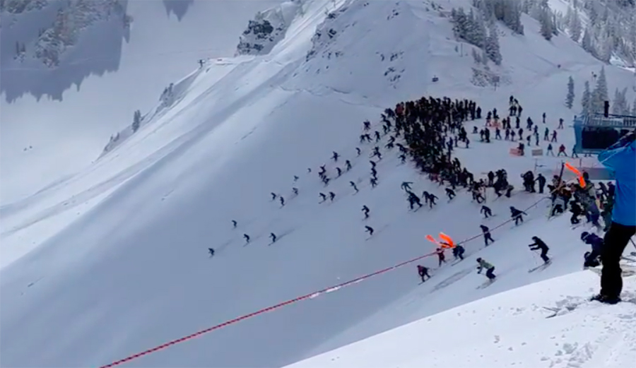 This Is What Snowbird Looks Like When Ski Patrol Drops the Rope on