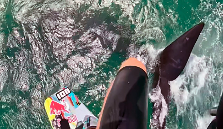 Watch This Kiteboarder Catch Air Over a Whale