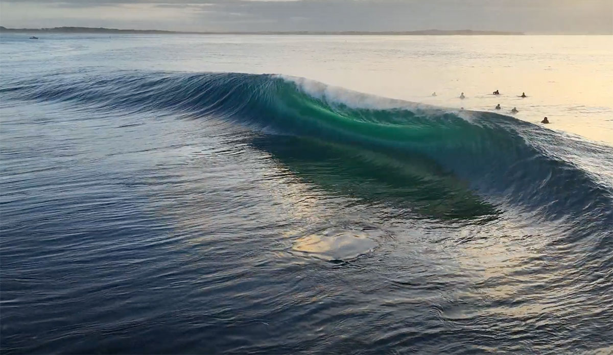 Stunning Drone Footage From Slabbing Shark Island