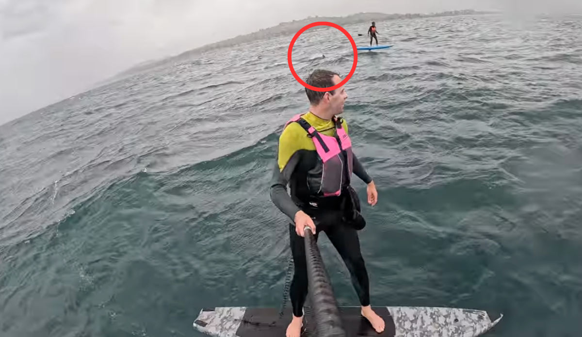 A ’10-11-Foot’ Shark Tailed This Downwind Foiler in California