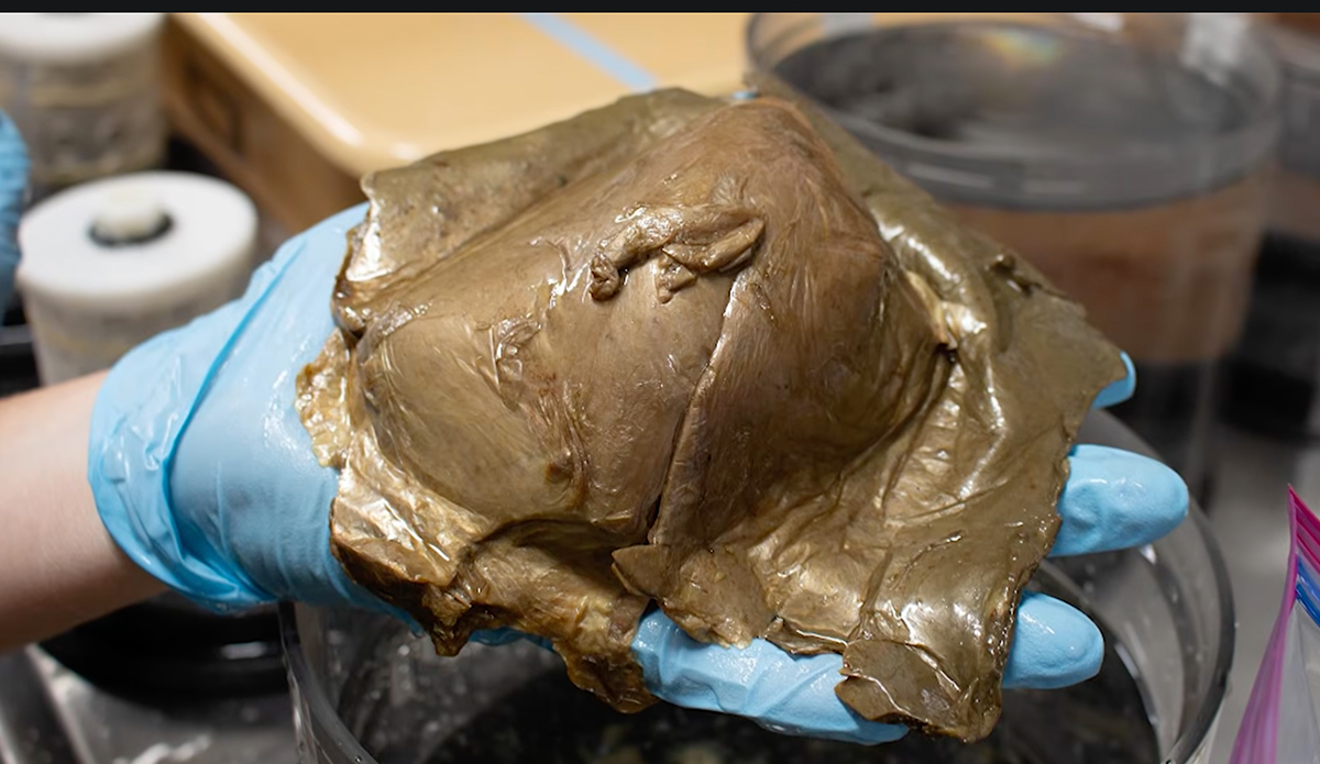 Scientists Finally Identify Mysterious Golden Orb Found on Seafloor