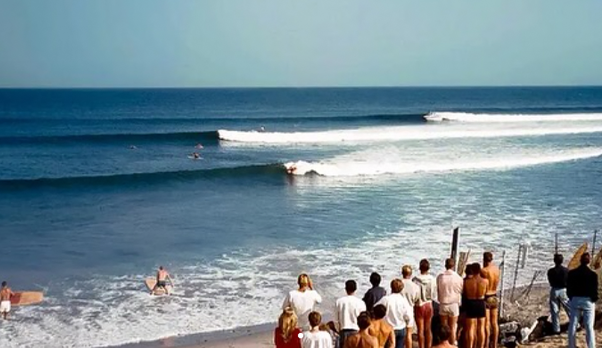 The ‘Encyclopedia of Surfing’ Lives On: Successful Fundraising Drive Keeps Dream Alive