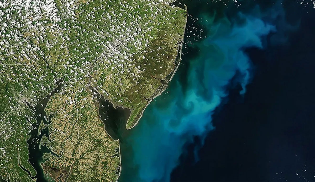 NASA Satellite Images Show Phytoplankton Bloom Off Mid-Atlantic Coast