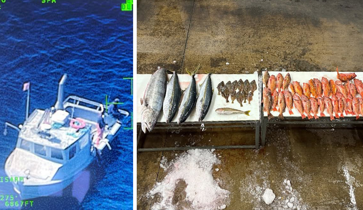 Two Fishermen Arrested for Illegal Fishing in San Diego Conservation Area