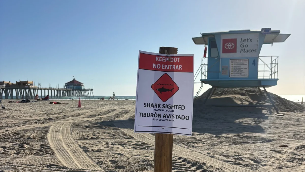 Huntington Beach Closed Due to Great White Shark Sighting