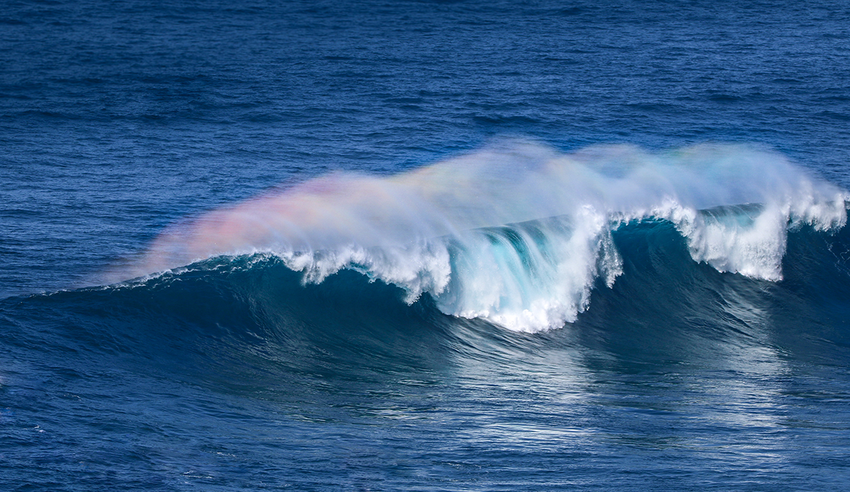 Photo: Robin Ernst // @robinmarie_