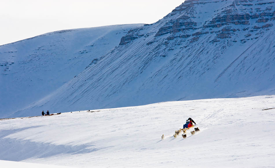In 2008 I was asked to join Will Steger on a dogsledding expedition to Ellesmere Island for National Geographic. We spent two months traveling in -40 temperatures. We slept in tents. Much of the land we crossed hadn’t seen visitors in recorded history. I’m sure native people had traveled there, but global warming has revealed land that hasn’t been exposed in thousands of years. It was the closest I’ve ever come to truly exploring the unexplored.