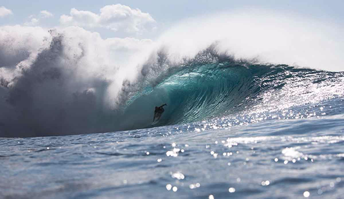 The champ, Kelly Slater. Photo: Brian Bielmann