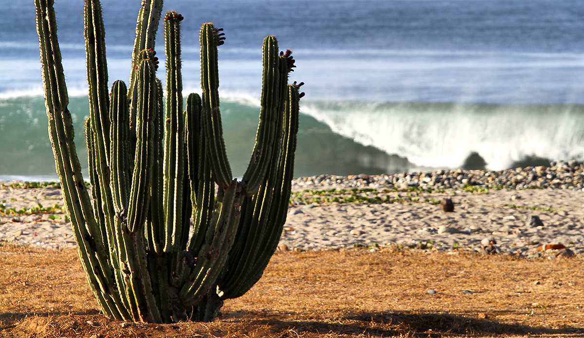 Photo: <a href=\"https://www.instagram.com/danielacaram/\">Daniela Caram</a>