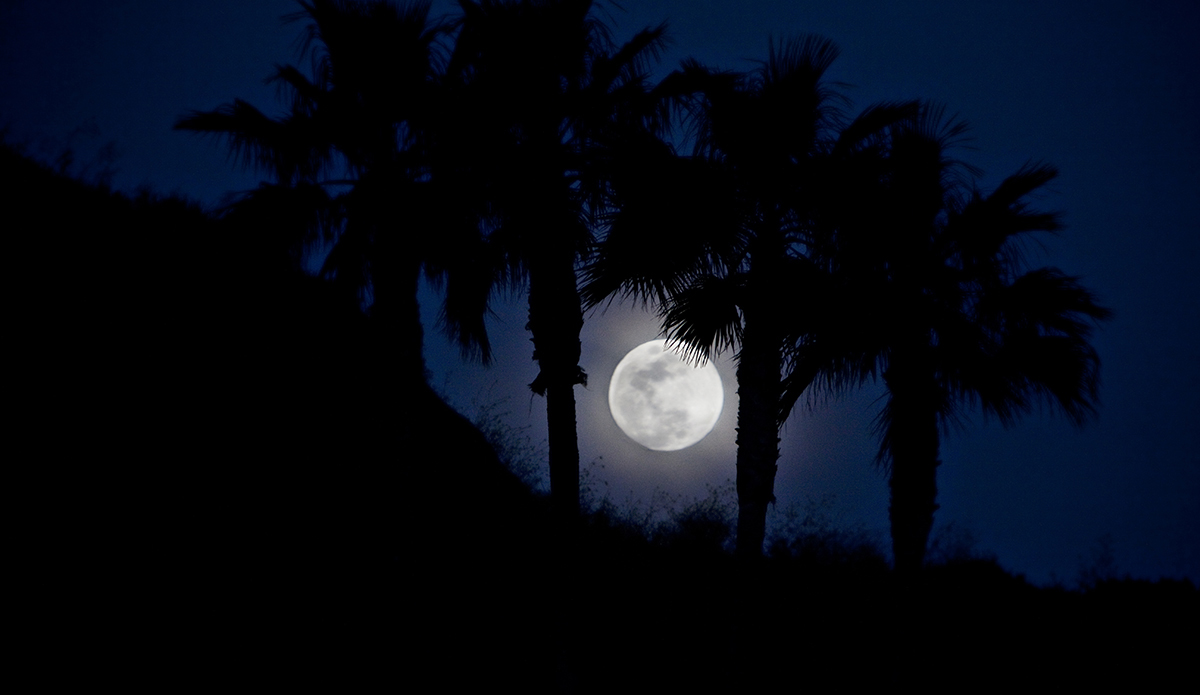 ull moon peaking out from behind palm trees. Southern California.  Photo: <a href=\"https://www.instagram.com/sheldon_magner/\">Sheldon Magner</a>
