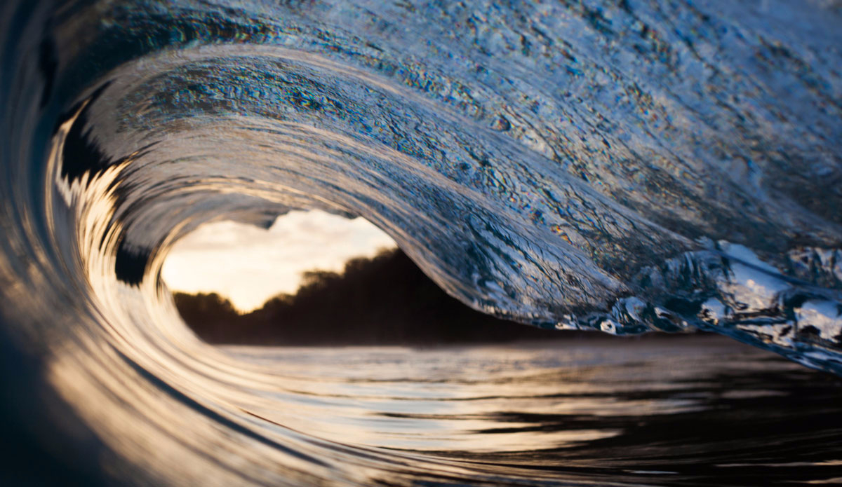 One of my favorite water shots since acquiring a housing about a week ago, I love the shallow depth of field the 50mm lens provides. Photo: <a href=\"https://www.stoverfrenchphoto.com/\">Vaun Stover-French</a> 