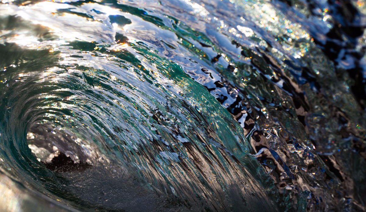 Crystalized. Photo: <a href=\"https://www.stoverfrenchphoto.com/\">Vaun Stover-French</a> 