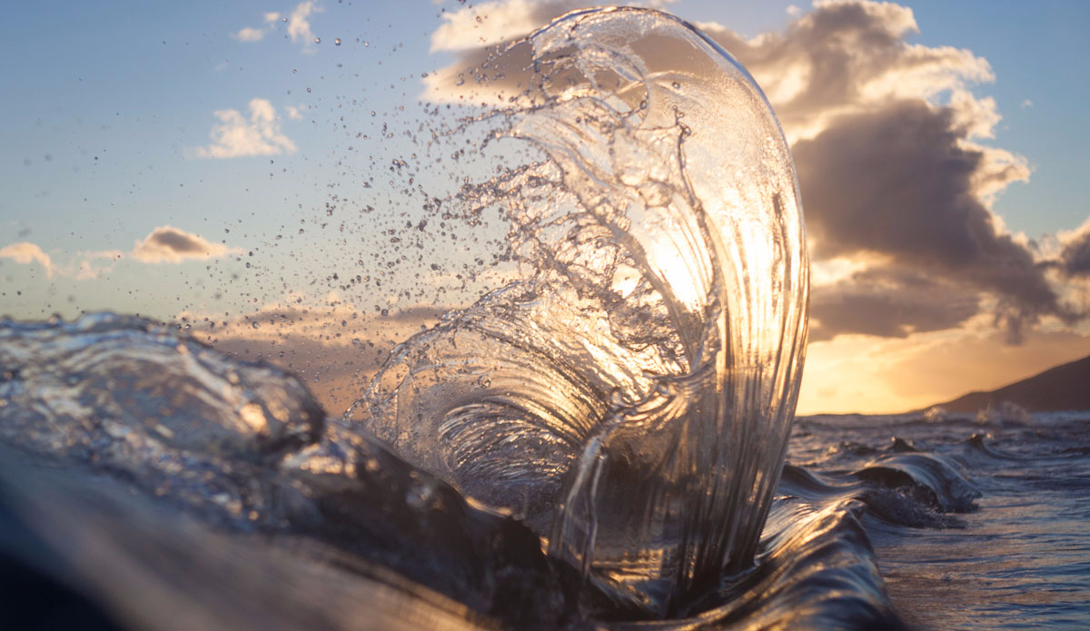 Golden hour goes well with flare. Photo: <a href=\"https://www.stoverfrenchphoto.com/\">Vaun Stover-French</a> 