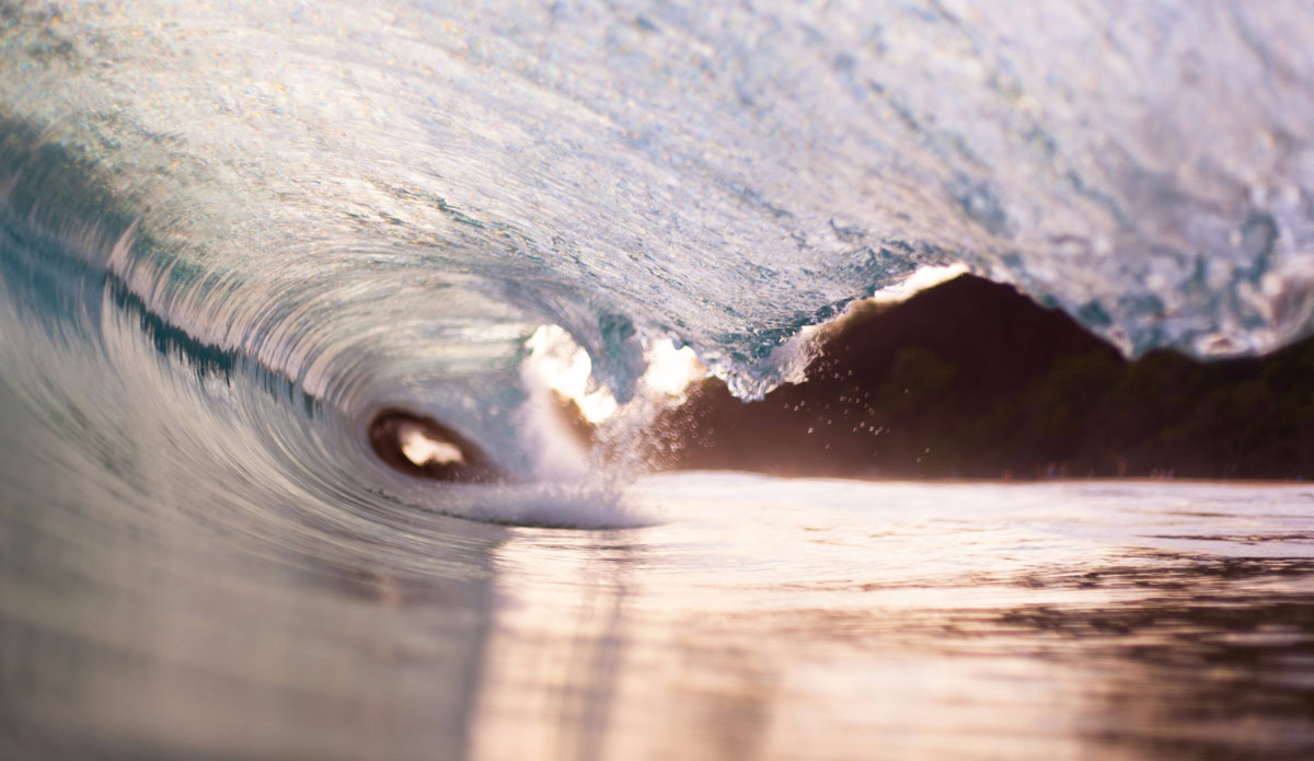 Another one of my favorites with that shallow focus. Photo: <a href=\"https://www.stoverfrenchphoto.com/\">Vaun Stover-French</a> 