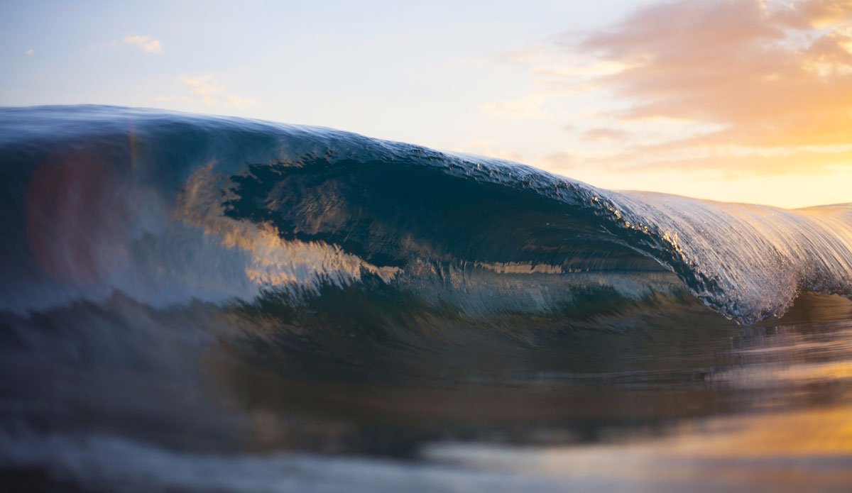 Sometimes you wish you could just shrink down to surf some mini perfection. Photo: <a href=\"https://www.stoverfrenchphoto.com/\">Vaun Stover-French</a> 